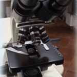 Microscopio