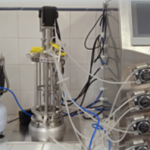 Biorreactor